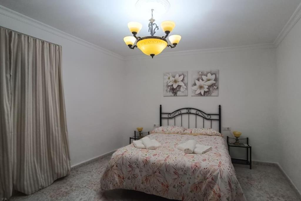 El Magnolio Villa Vejer de la Frontera Dış mekan fotoğraf